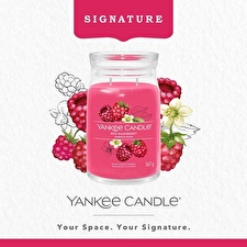 Yankee Candle Signature Scented Candle Red Raspberry 567 G Yankee Candle Signature Scented Candle Red Raspberry 567 G