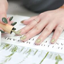 0121 Nail Gel Polish Morandi Collection 4 521 Tender Green - 8ml 0121 Nail Gel Polish Morandi Collection 4 521 Tender Green - 8ml