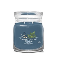 Yankee Candle Aromatic Candle Signature Glass Medium Bayside Cedar 368 G Yankee Candle Aromatic Candle Signature Glass Medium Bayside Cedar 368 G