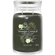 Yankee Candle Silver Sage & Pine Signature Candle 567.0g Yankee Candle Silver Sage & Pine Signature Candle 567.0g
