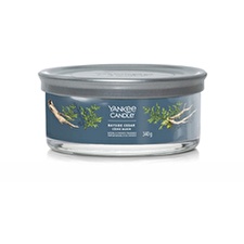 Yankee Candle Aromatic Candle Signature Tumbler Medium Bayside Cedar 340 G Yankee Candle Aromatic Candle Signature Tumbler Medium Bayside Cedar 340 G
