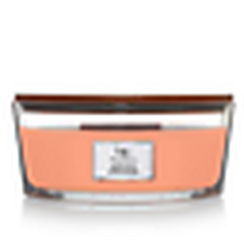 WoodWick Scented Candle Ship Manuka Nectar 453.6 G WoodWick Scented Candle Ship Manuka Nectar 453.6 G