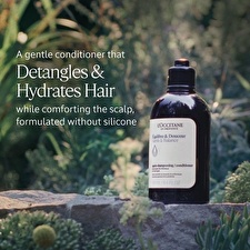 L'Occitane en Provence Gentle & Balance Conditioner (conditioner) 75ml L'Occitane en Provence Gentle & Balance Conditioner (conditioner) 75ml