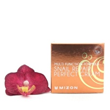 Mizon Face Cream With Snail Secretion Filtrate 60% For Problematic Skin (snail Repair Perfect Cream) 50ml 50ml Mizon Face Cream With Snail Secretion Filtrate 60% For Problematic Skin (snail Repair Perfect Cream) 50ml 50ml