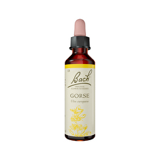 Bach Flower Remedies Gorse 20ml Bach Flower Remedies Gorse 20ml