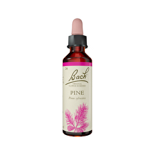 Bach Flower Remedies Pine 20ml Bach Flower Remedies Pine 20ml