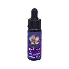 Fes Organic Quintessentials Flower Essence Blackberry 7.5ml Fes Organic Quintessentials Flower Essence Blackberry 7.5ml
