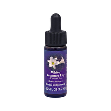 Fes Organic Quintessentials Flower Essence White Trumpet Lily (easter Lily) 7.5ml Fes Organic Quintessentials Flower Essence White Trumpet Lily (easter Lily) 7.5ml