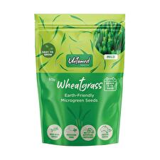 Untamed Health Microgreen Seeds Wheatgrass 50g Untamed Health Microgreen Seeds Wheatgrass 50g