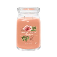 Yankee Candle Aromatic Candle Signature Glass Medium Tropica L Breeze 368 G Yankee Candle Aromatic Candle Signature Glass Medium Tropica L Breeze 368 G