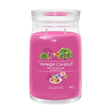 Yankee Candle Aromatic Candle Signature Glass Large Art In The Park 567 G Yankee Candle Aromatic Candle Signature Glass Large Art In The Park 567 G