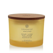 Chesapeake Bay Strength & Energy 312 G Chesapeake Bay Strength & Energy 312 G