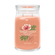 Yankee Candle Aromatic Candle Signature Large Glass Tropica L Breeze 567 G Yankee Candle Aromatic Candle Signature Large Glass Tropica L Breeze 567 G