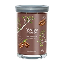 Yankee Candle Aromatic Candle Signature Tumbler Large Praline & Birch 567 G Yankee Candle Aromatic Candle Signature Tumbler Large Praline & Birch 567 G