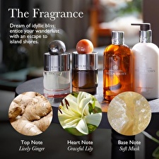 Molton Brown Heavenly Gingerlily Fine Liquid Hand Wash Refill 400ml Molton Brown Heavenly Gingerlily Fine Liquid Hand Wash Refill 400ml