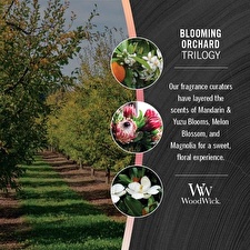 WoodWick Scented Candle Vase Trilogy Blooming Orchard 609.5 G WoodWick Scented Candle Vase Trilogy Blooming Orchard 609.5 G