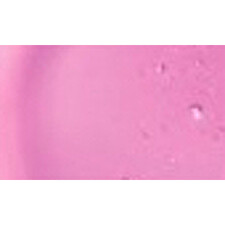 Avon Nourishing Lip Care With Oils 7ml - Shade: Blossom Avon Nourishing Lip Care With Oils 7ml - Shade: Blossom