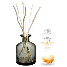 Maison Berger Paris Gift Set Aroma Energy Diffuser Gray & Sparkling Zest Refill 180ml Maison Berger Paris Gift Set Aroma Energy Diffuser Gray & Sparkling Zest Refill 180ml