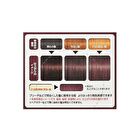 Gatsby Natural Bleach & Hair Color - Classic Mocha