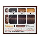 Gatsby Natural Bleach & Hair Color - Cool Rose