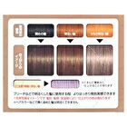 Gatsby Natural Bleach & Hair Color - Ash Caramel