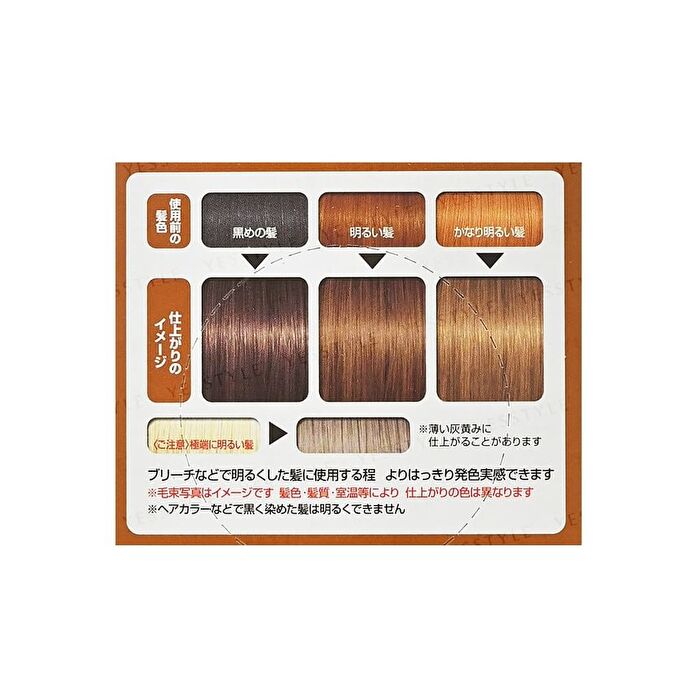 Gatsby Natural Bleach & Hair Color - Clear Brown