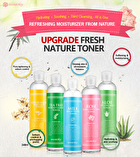 Fresh Nature Toner 248ml - Witchhazel Pore Clear