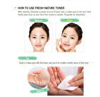 Fresh Nature Toner 248ml - 2015 Version - Aloe Soothing Moist