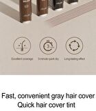 Quick Hair Tint Brush - Natural Brown