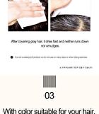 Quick Hair Tint Brush - Natural Brown