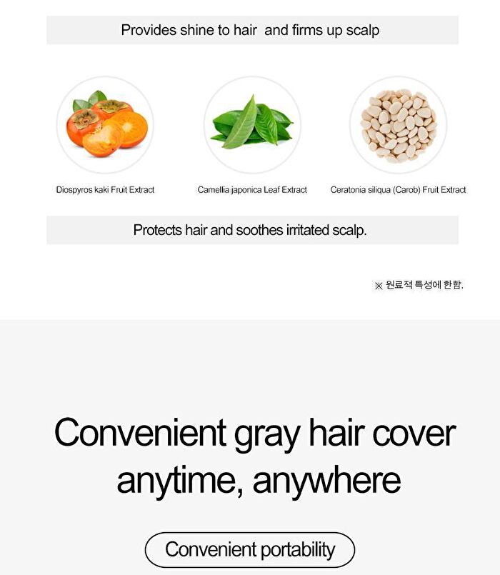 Quick Hair Tint Brush - Natural Black