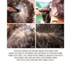 Quick Hair Tint Brush - Natural Black