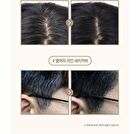 Quick Hair Tint Brush - Natural Black
