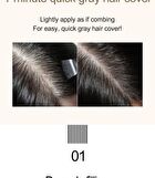 Quick Hair Tint Brush - Natural Black