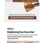 Color My Brows - 3 Colors - #02 Light Brown