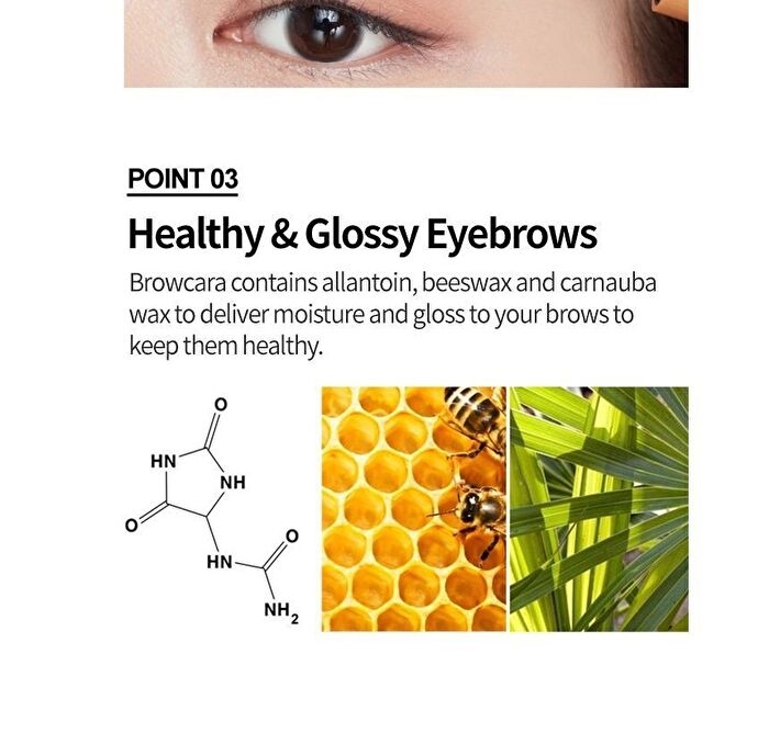 Color My Brows - 3 Colors - #02 Light Brown