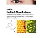 Color My Brows - 3 Colors - #02 Light Brown