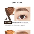 Color My Brows - 3 Colors - #02 Light Brown