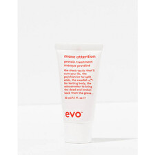 Evo Mane Attention Protein Treatment Masque 30ml