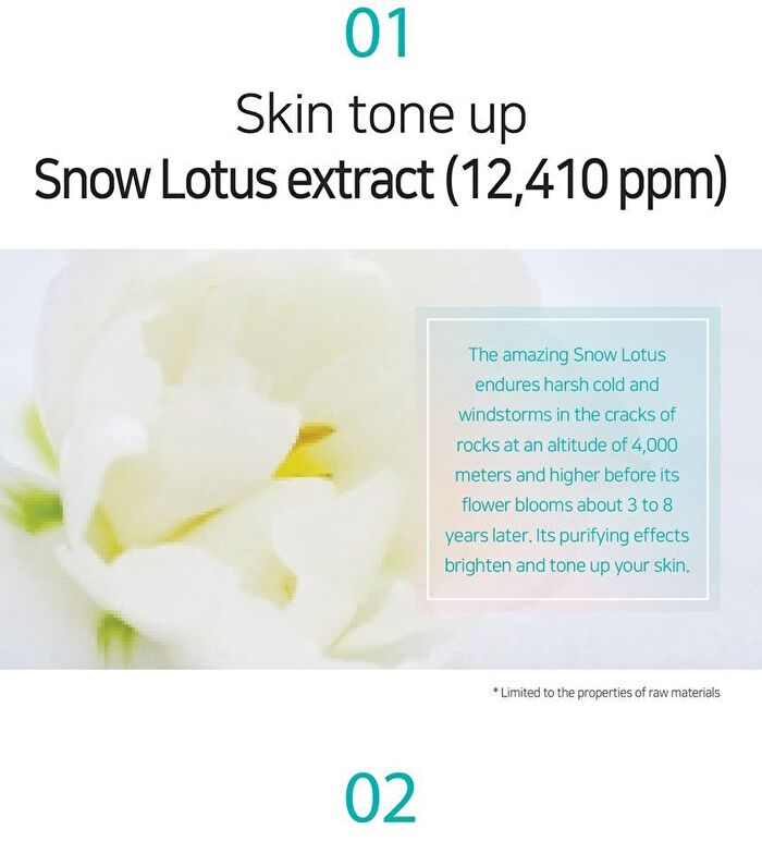 Petitfee Snow Lotus White Tone Up Cream - 50ml