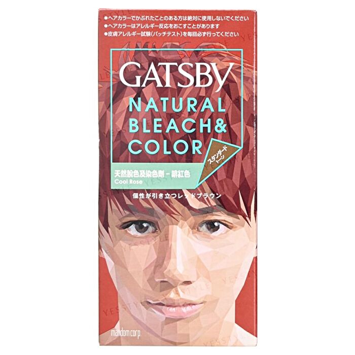 Gatsby Natural Bleach & Hair Color - Aqua Silver