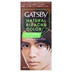 Gatsby Natural Bleach & Hair Color - Aqua Silver