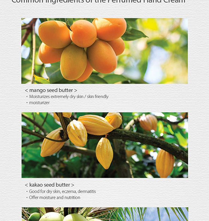 Perfumed Hand Cream (Apricot) - 30ml
