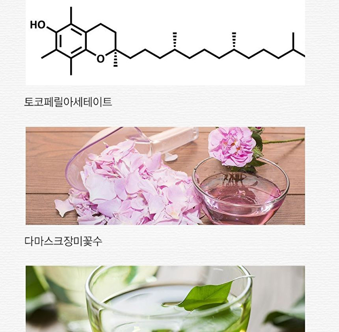 Saemmul Perfect Pore Pact - 12g