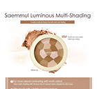 Saemmul Luminous Multi-Shading - 8g