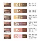 Nose & Eyebrow Powder - 01 Camel