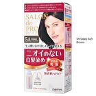 Dariya Salon De Pro Unscented Gray Hair Color Quick Emulsion - 1 Pretty Bright Light Brown