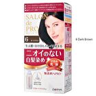 Dariya Salon De Pro Unscented Gray Hair Color Quick Emulsion - 1 Pretty Bright Light Brown
