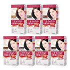 Dariya Salon De Pro Unscented Gray Hair Color Quick Emulsion - 1 Pretty Bright Light Brown