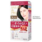 Dariya Salon De Pro Unscented Gray Hair Color Quick Emulsion - 2 Brighter Light Brown